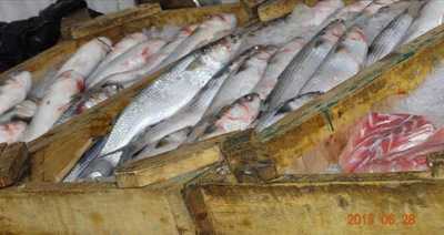 ‪el Tawhid Fish‬