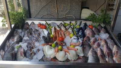 اسماك الزهراء