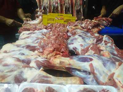 ‪haty Sheikh El Bald‬