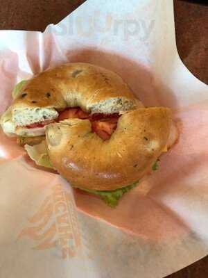 ‪jared's Bagels‬