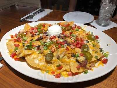 هارد روك كافيه القاهرة / القلعة