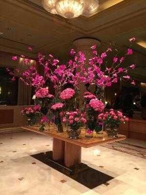 ‪four Seasons Tea Room‬