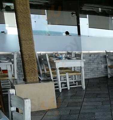 ابن حميدو للاسماك