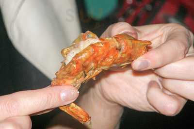 El Negro Alexandria Restaurant