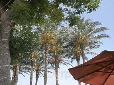 ‪studio Misr Al-azhar Park‬