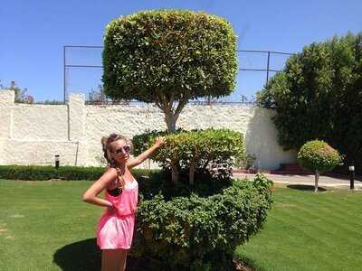 مشويات الف ليلة وليلة