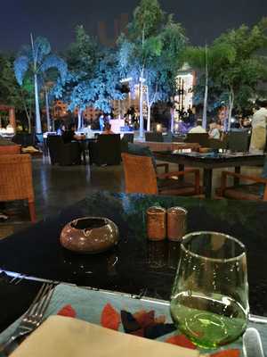 الهند على ضفاف النيل