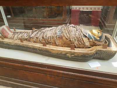 الهند على ضفاف النيل