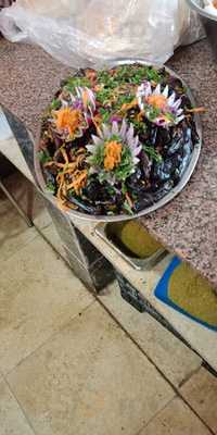 نجمة الشبراوى