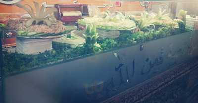 نجمة الشبراوى