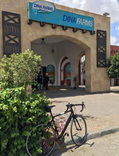 ‪dina Farms‬