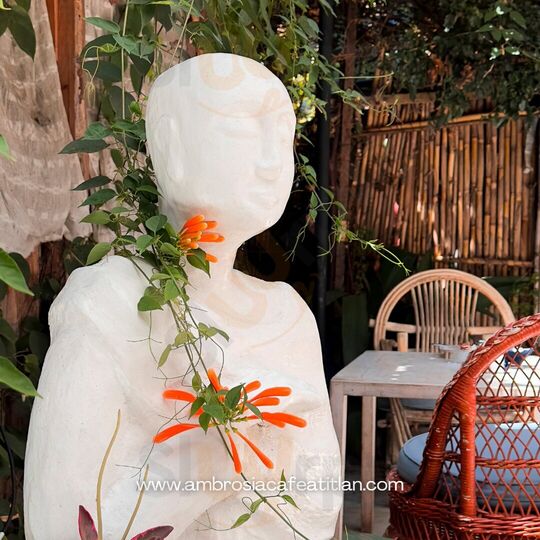 Ambrosía Café Atitlán