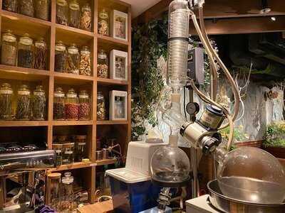 Dr. Fern's Gin Parlour