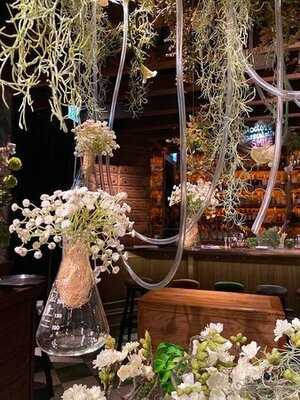 Dr. Fern's Gin Parlour