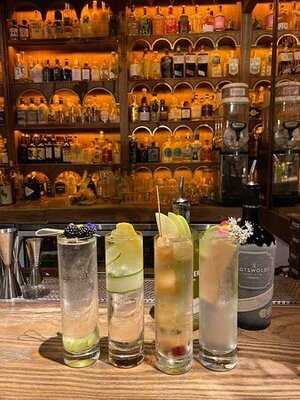 Dr. Fern's Gin Parlour