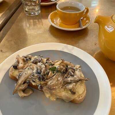 Feather & Bone - Mid Levels