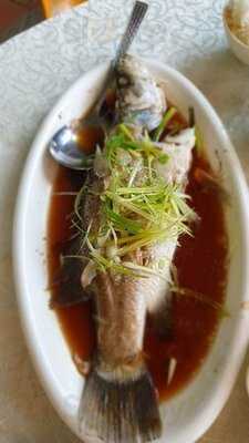 泰苑魚翅海鮮酒家