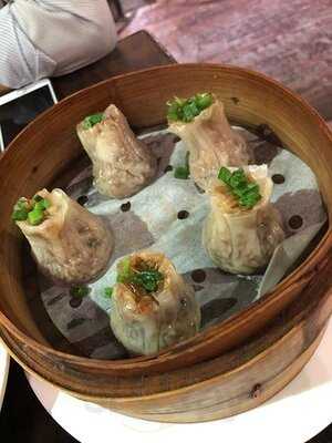 上海婆婆 ( V City)