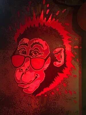 Funky Monkey
