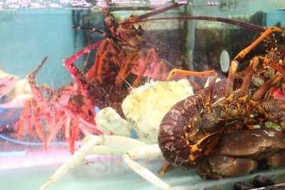 英記火鍋海鮮酒家