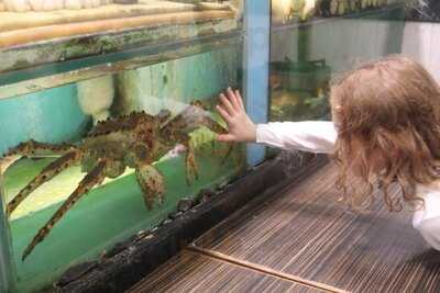 英記火鍋海鮮酒家