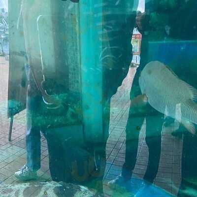 Hung Kee Seafood Restaurant, Sai Kung, Hong Kong