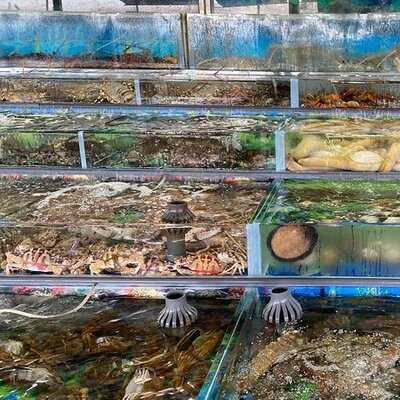 Hung Kee Seafood Restaurant, Sai Kung, Hong Kong