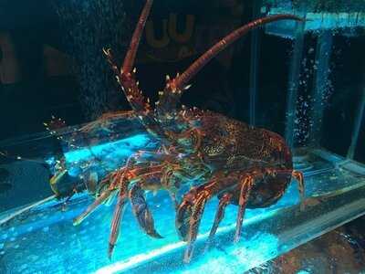 釣魚翁 燒鵝．海鮮飯店 (荃灣千色匯一期)