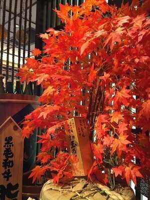 目利きの銀次 (銅鑼灣)