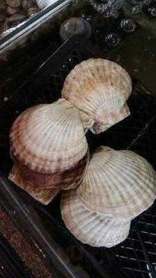 通記海鮮野味酒家