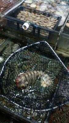 通記海鮮野味酒家