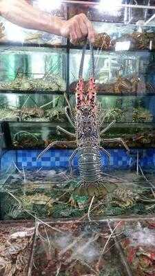 通記海鮮野味酒家