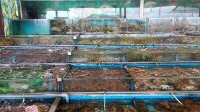 通記海鮮野味酒家