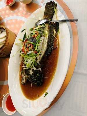 明星海鮮酒家(九龍店)