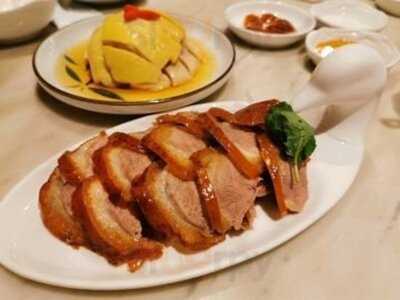 古琴雅苑 - 尖沙咀新店