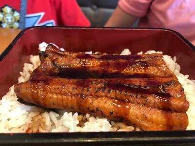 丼丼屋食堂 (荷里活廣場)