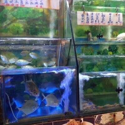 駒記海鮮大排檔