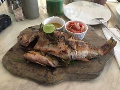 Classified (the Pulse)