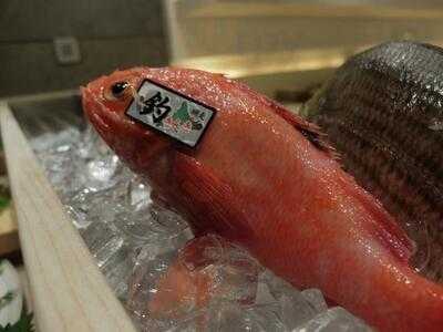 千里之月鮨旬菜