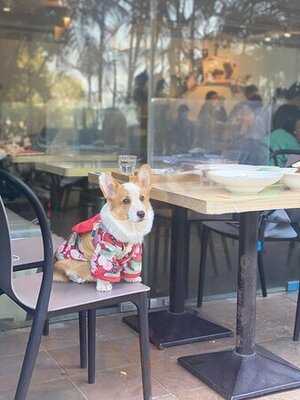 Casa Bakery & Coffee Shop