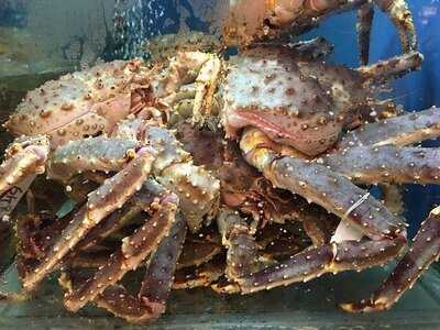 寶湖海鮮酒家 (業昌大廈)