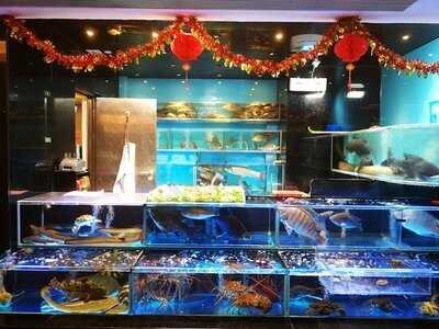 順德公漁村河鮮酒家 (觀塘)