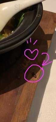 阿一海景飯店 (tower 535)