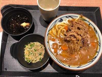 丸龜制面 (大本型)