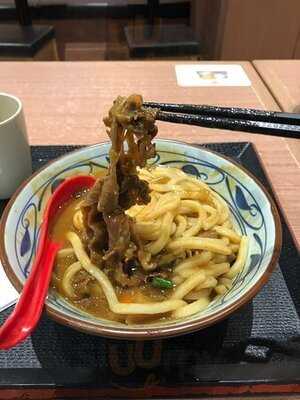 丸龜制面 (大本型)