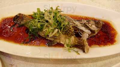 好彩海鮮酒家- 大埔店