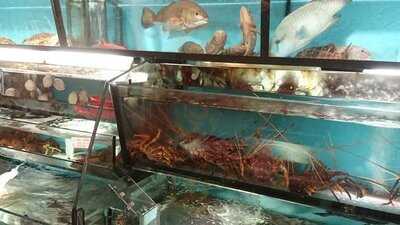 陶源酒家 (美孚店)