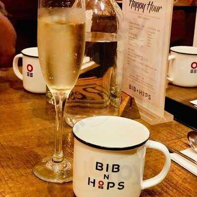 Bib N Hops (brim 28)