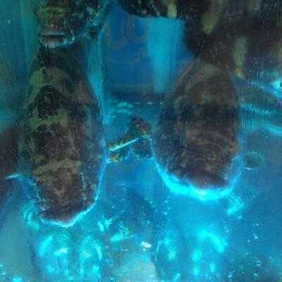 皇庭匯 (海富苑)