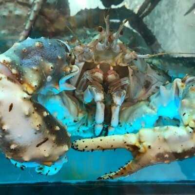 皇庭匯 (海富苑)